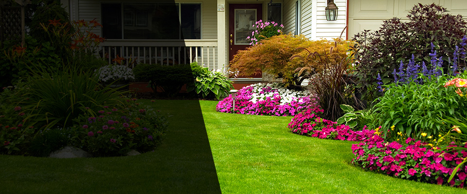 Terryville Landscapers
