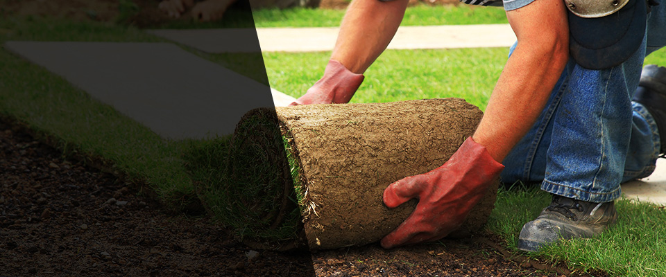 Terryville Landscapers